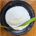 Dimethocaine Hydrochloride