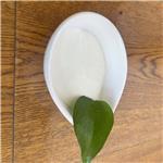 Dimethocaine Hydrochloride