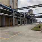 Isobornyl methacrylate