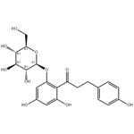 60-81-1 Phlorizin
