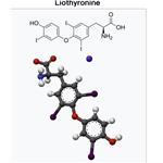 T3；Liothyronine Sodium