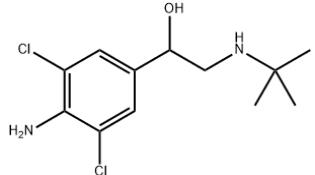 Article illustration