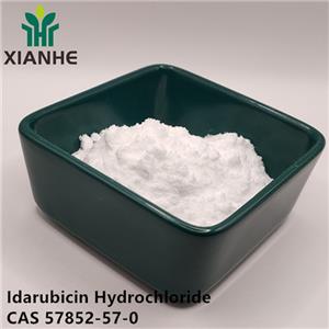 Idarubicin Hydrochloride