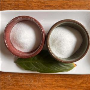 Lidocaine Hydrochloride