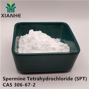 Spermine Tetrahydrochloride (SPT)