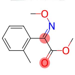 Methyl 2-(MethoxyiMino)-2-o-tolylacetate