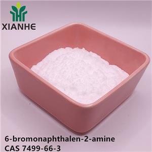 6-bromonaphthalen-2-amine