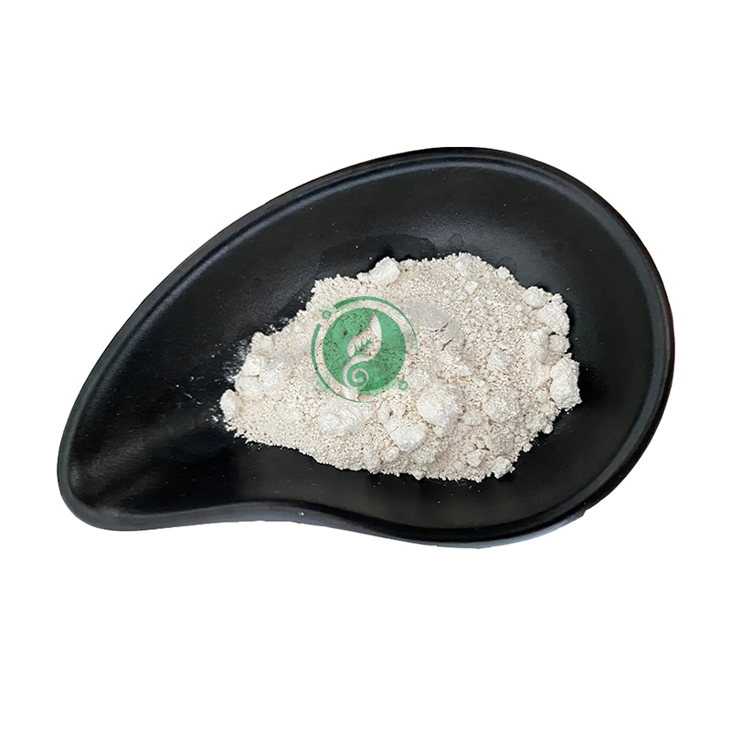 N-Acetylneuraminic acid