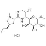 21462-39-5 Clindamycin hydrochloride