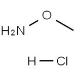 593-56-6 Methoxyammonium chloride