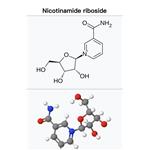 Serratiopeptidase pictures