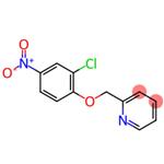 2-[(2-Chloro-4-nitrophenoxy)methyl]pyridine