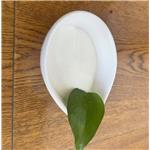 1-(3-Methoxyphenyl)piperazine dihydrochloride