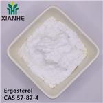 Ergosterol