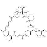 53123-88-9 Rapamycin