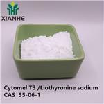 Cytomel T3 /Liothyronine sodium
