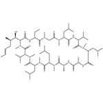 59865-13-3 Cyclosporin A