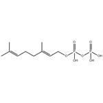 GERANYL PYROPHOSPHATE AMMONIUM 200