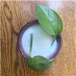 1,2-Bis(diphenylphosphino)ethane