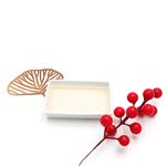 2-Chloroethyl chloroformate