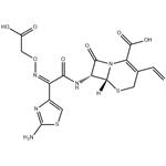 79350-37-1 Cefixime