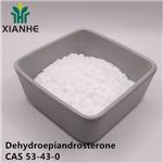 53-43-0 Dehydroepiandrosterone