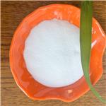 Lidocaine Hydrochloride