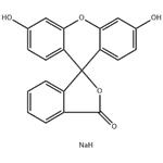 518-47-8 Fluorescein disodium salt