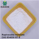 Ropivacaine mesylate