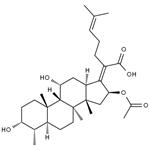 6990-06-3 Fusidine