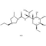 859-18-7 Lincomycin hydrochloride