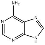 73-24-5 Adenine