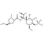 24729-96-2 Clindamycin phosphate