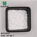 59-46-1 procaine