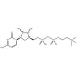 987-78-0 CYTIDINE 5'-DIPHOSPHOCHOLINE