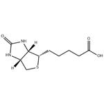 58-85-5 D-Biotin