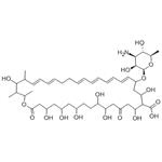 Nystatin pictures