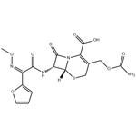 55268-75-2 Cefuroxime