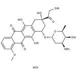 25316-40-9 Doxorubicin hydrochloride