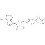 Adenosine triphosphate