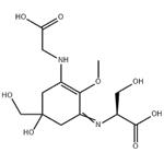 L-Serine,N-[3-[(carboxymethyl)amino]-5-hydroxy-5-(hydroxymethyl)-2-methoxy-2-cyclohexen-1-ylidene]-