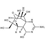 TETRODOTOXIN