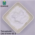 Teicoplanin