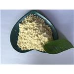 BENZYLHYDRAZINE DIHYDROCHLORIDE