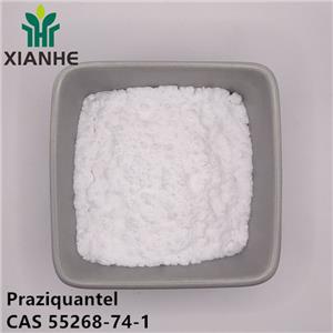 Praziquantel