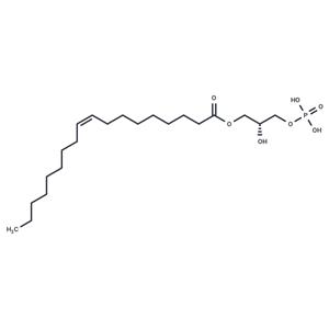 1-Oleoyl Lysophosphatidic Acid