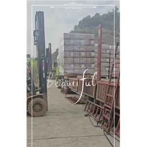 Cellulose Acetate Butyrate (CAB)