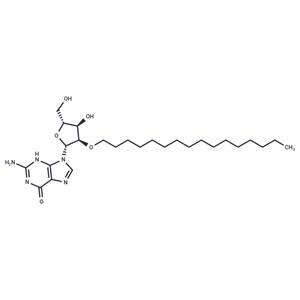 2'-O-Hexadecanyl guanosine