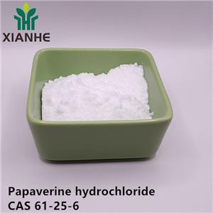 Papaverine hydrochloride