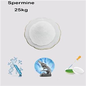 Spermine